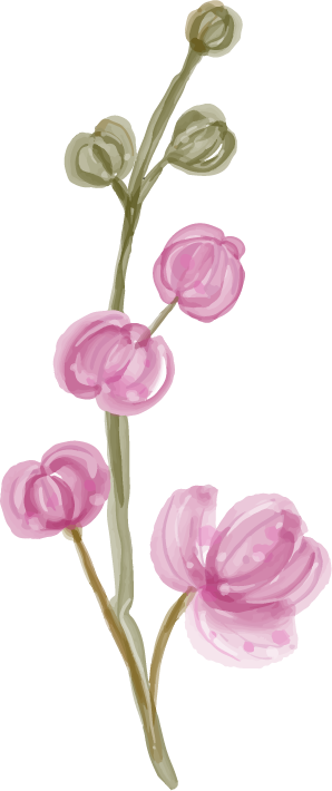 Flower Small Pink Watercolor Isolated